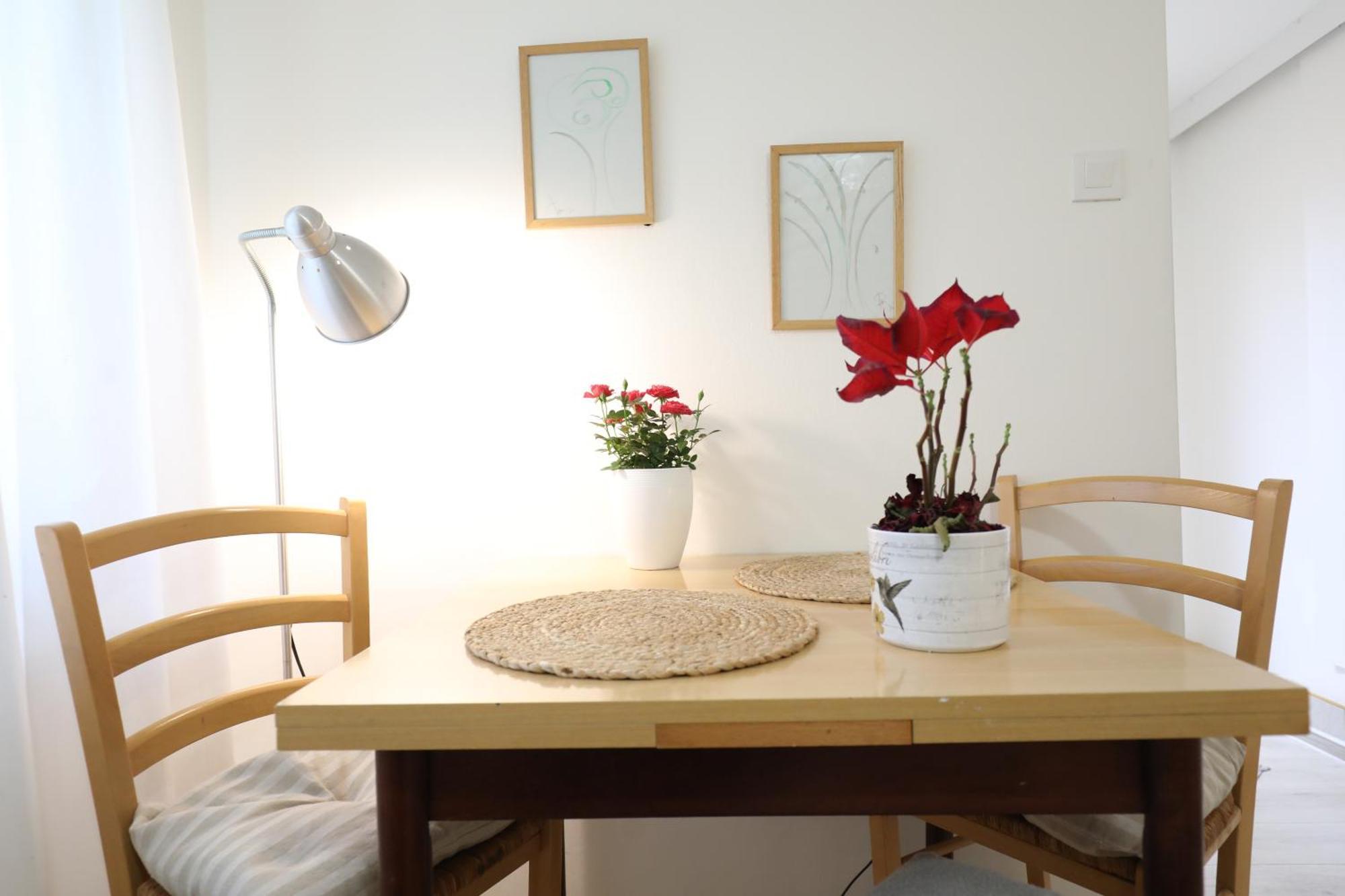 Apartment Mir Pula Extérieur photo